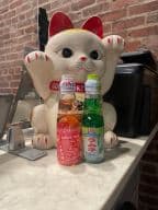 Best Japanese Marble Soda(ramune) in Silver Spring, MD