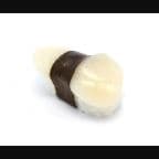 Best Hotategai* A La Carte in Middleton, WI