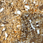 Best Chicken Fried Rice in Fort Smith, AR