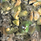 Best 宫保牛 Kung Pao Beef 午餐 in Kenmore, WA