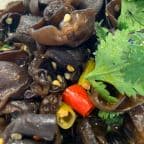 Best Mixed Black Fungus in Bellevue, WA