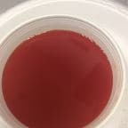 Best Sweet & Sour Sauce (8oz) in Southfield, MI