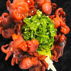 Best Baby Octopus in Bronx, NY