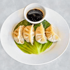 Best Dumplings in Los Angeles, CA