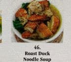 Best Roast Duck Noodle Soup in Miami, FL