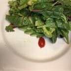 Best Tomato Avocado Salad in York, PA