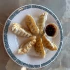 Best Fried Chicken Dumplings in Aurora, CO