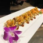 Best Hot Girl Roll in Auburn, NY