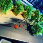 Best Avocado Bomb (Spicy Tuna) in Valrico, FL