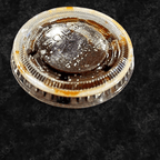 Best Hoisen sauce in Marblehead, MA