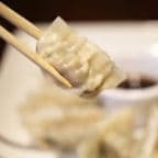 Best Pork Dumplings in Newton, MA