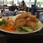 Best Shrimp Katsu in Lakeland, FL