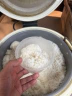 Best 白饭 White Rice in Plattsburgh, NY