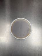 Best Brown Sauce in Southport, NC