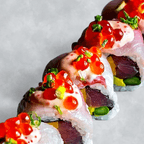 Best * Paradise in Orlando, FL