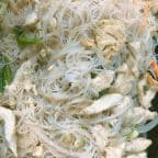 Best Beef Noodles in Atlanta, GA