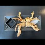 Best Soft Shell Crab Tempura in Cambridge, MA