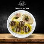 Best Falafel plate in Mountlake Terrace, WA