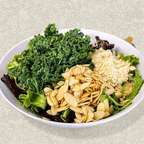 Best Caesar Sano Salad in Weston, FL